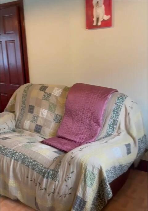 Annie Dee'S Guest Accommodation Ballygowan Екстер'єр фото